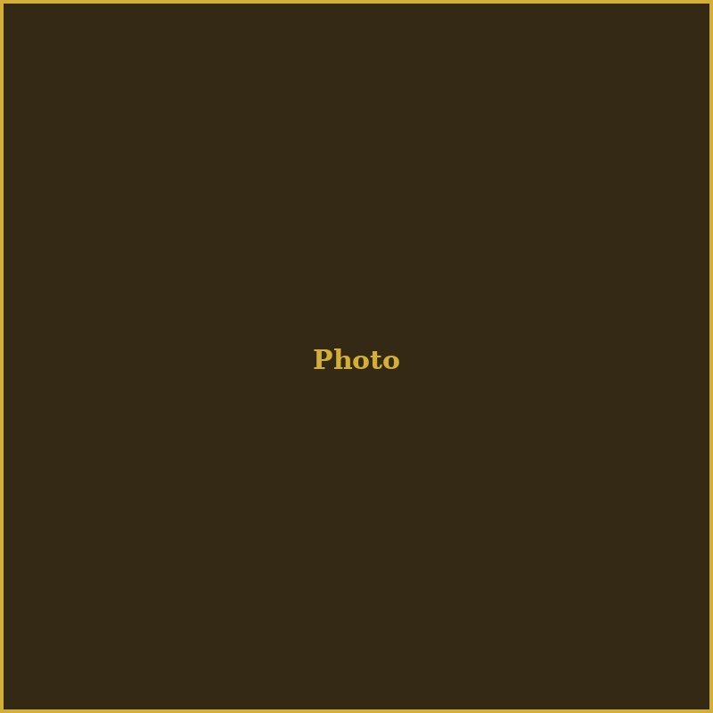 Gallery Photo 1